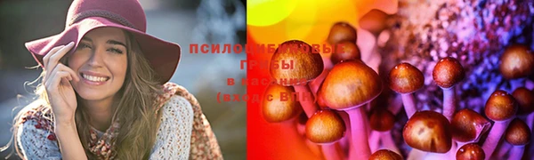 метадон Баксан