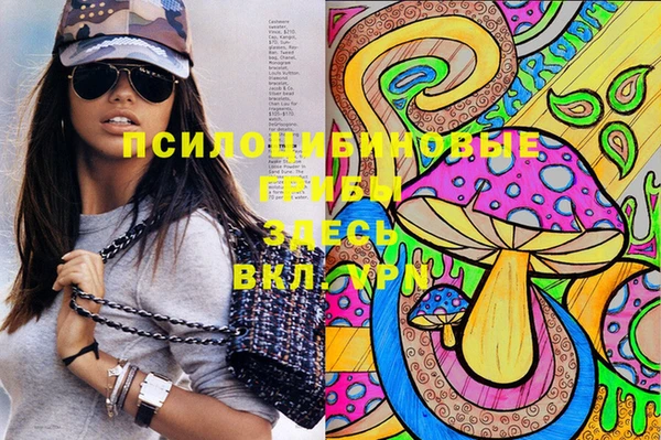 стаф Семикаракорск