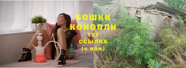 ешки Белокуриха